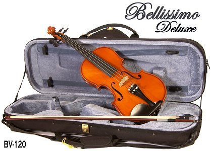 Rent a Violin