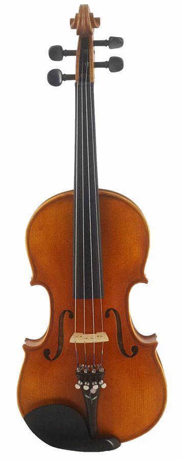 Custom Violin